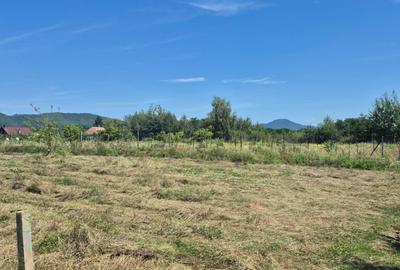 Merisor, 30 ari teren parcelabil - 2