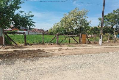 Teren de 1200 mp, în Sânnicolau Român - 5