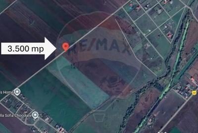 Teren de 3500 mp, în Hălchiu