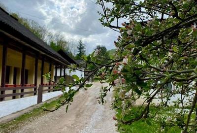 Teren pentru investitii 11.000 mp - 31