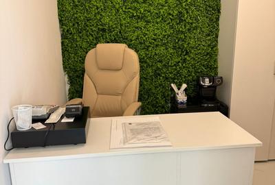 BEAUTY SALON / ZONA SOSEAUA MIHAI BRAVU - 16