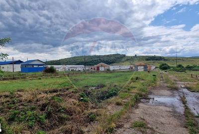 Teren de 39600 mp, în Traian - 2