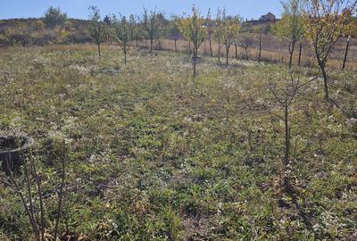 Spațiu comercial, în Central - 1