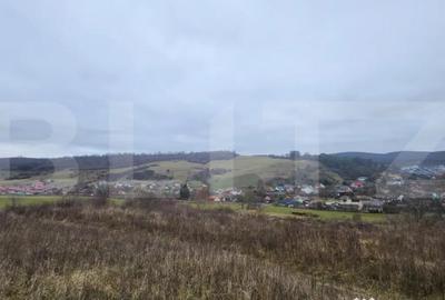 Teren de 4756 mp, în Livezeni - 2