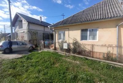 Casă cu 3 camere cu Teren 2338 Mp în Central - 11