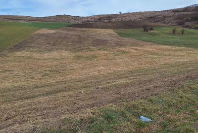 Teren de 5800 mp, în Gădălin - 4