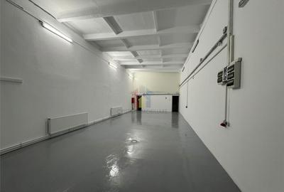 Hala industriala/depozitare Birouri, 160 mp, acces tir - Do - 2