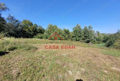 Teren intravilan in Poiana Campina 4285 mp parcelabil 11,6e - 7