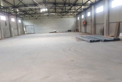 Hala 500 mp Oras Pantelimon - 2