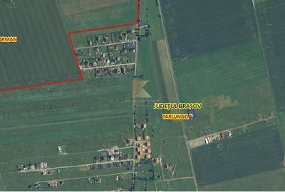 Teren intravilan 722 mp PUZ/ Posibilitate schimb imobiliar - 2