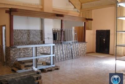 Spatiu industrial de vanzare, zona Nord, 706 mp #10833 - 9