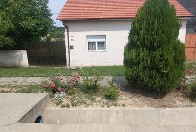 Casă individuală cu 3 camere cu Teren 1530 Mp în Copăcele - 5