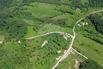 Teren de 30670 mp, în Codru Butesii - 1