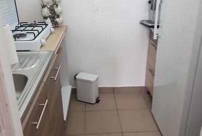 Casă cu 2 camere în Luduș - 5