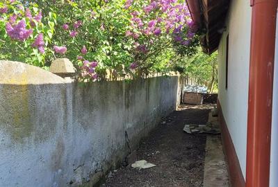 Casă cu 2 camere cu Teren 1837 Mp în Central - 5