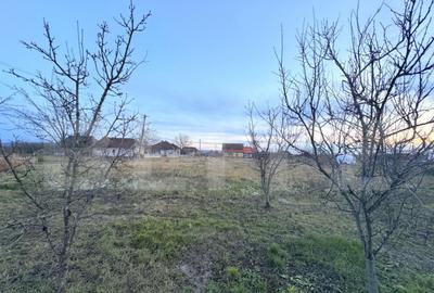 Casa de vanzare, 108 mp, Tatara?ti, comuna Viile - 5