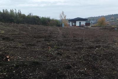 RECO . Teren in Podgoria . RECO . Teren in Podgoria . - 2