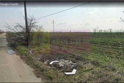 Teren în Copăceni - 4