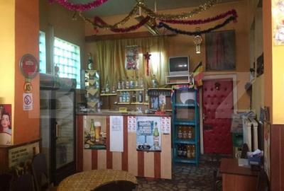 Oportunitate de investitie! Casa cu chiriasi, individuala 176 mp, zona 14 MAI - 9