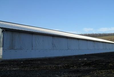 Ferma Zootehnica la standarde Europene - 8