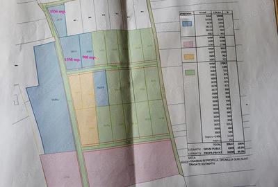 900 Mp. teren intravilan - Oradea - IMOBIHOR - 3