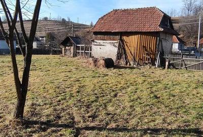 Casă în Ciucea - 3