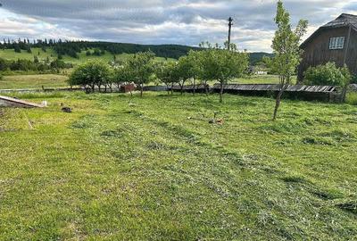 Casă cu Teren 3536 Mp în Coșna - 7