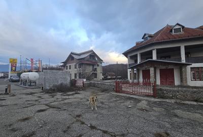 Spațiu comercial, de 321 mp, în Alimpești - 3