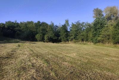 Teren de 2631 mp, în Malu Mierii - 5