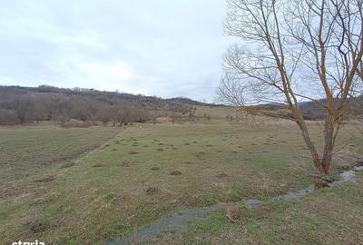 Spațiu comercial, în Făcăi - 6