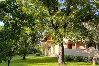 Casă individuală cu 4 camere cu Teren 2000 Mp în Măgura - 15