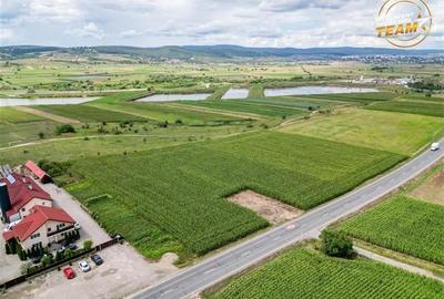 Teren arabil 3.000 mp, potential investitional, Coseni, Covasna - 2