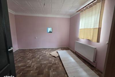 Spațiu comercial, în Petricani - 2