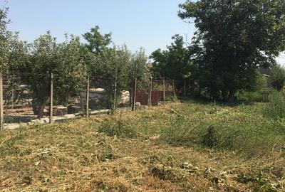 Casă cu 3 camere în Comloșu Mare - 6