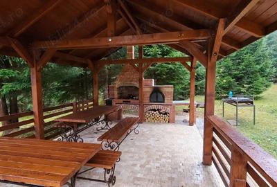 Casa de vacanta 3 niveluri P+E+M Colibita - 3