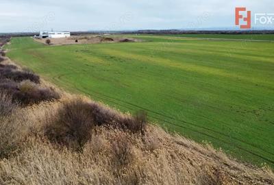 Teren de 25000 mp, în Est - 3