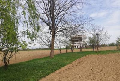 Teren de 9200 mp, în Bolintin-Vale - 8