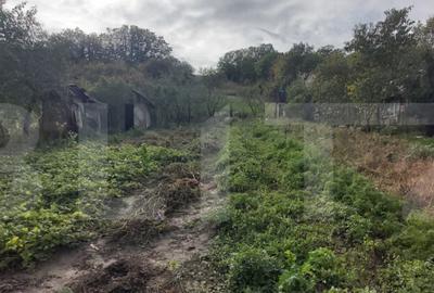 Casa de vanzare, 3 camere, 4663 mp teren, CF, Sat Barai - 19