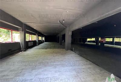 De inchiriat spatii comerciale, hale si birouri - 3