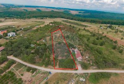 De vanzare Teren 3995mp intravilan Saldabagiu de Munte