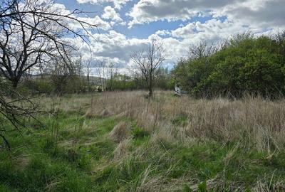 Casă cu 3 camere cu Teren 3863 Mp în Batiz - 1