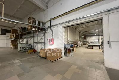 Hala industriala - zona Aradul Nou - 3