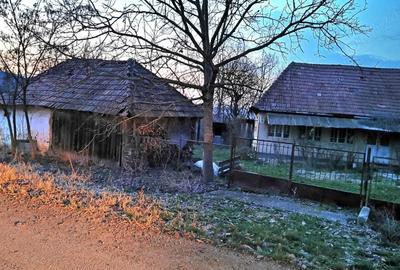 Teren de 2400 mp, în Dobrin - 2
