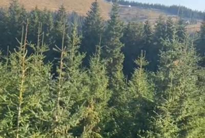 Teren intravilan munte - 2