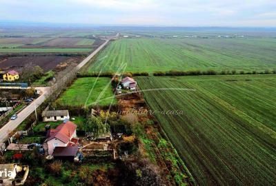 Teren de 113950 mp, în Uliești - 11