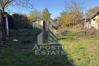 Casa veche in Recas cu teren generos de 1438 mp - 6