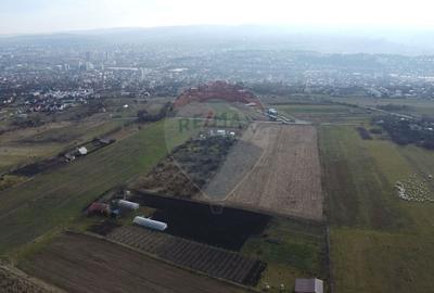 Teren agricol extravilan de 19375 mp, în Dâmbul Rotund - 2