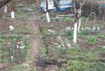 Teren Construcții intravilan de 600 mp, în Triaj - 11