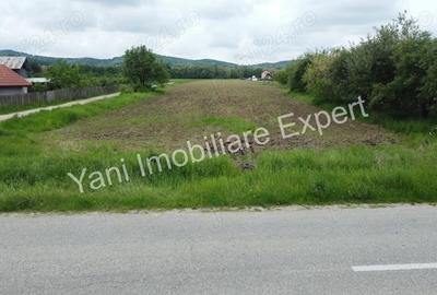 Teren 10.000 mp de vanzare in comuna Ciofrangeni, Judet Arge?. - 6