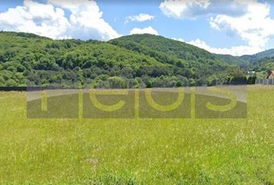 VANZRE-TEREN  - INTRAVILAN 650 mp deschidere 25 mp RASNOV -BRASOV - 4